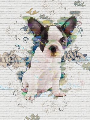 WALL BULLDOG