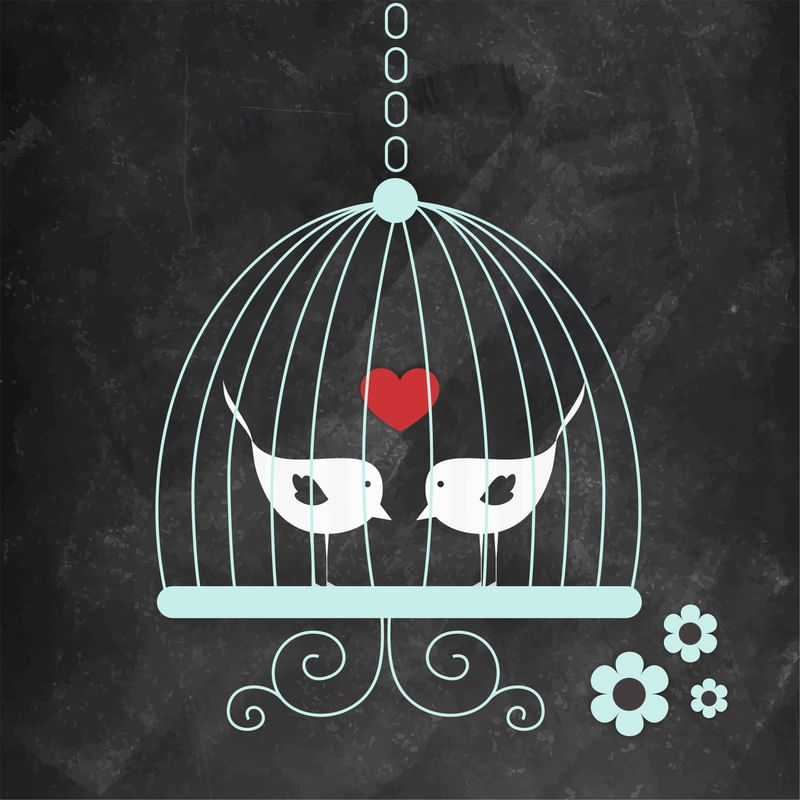 THE BIRDS AND THE LOVE