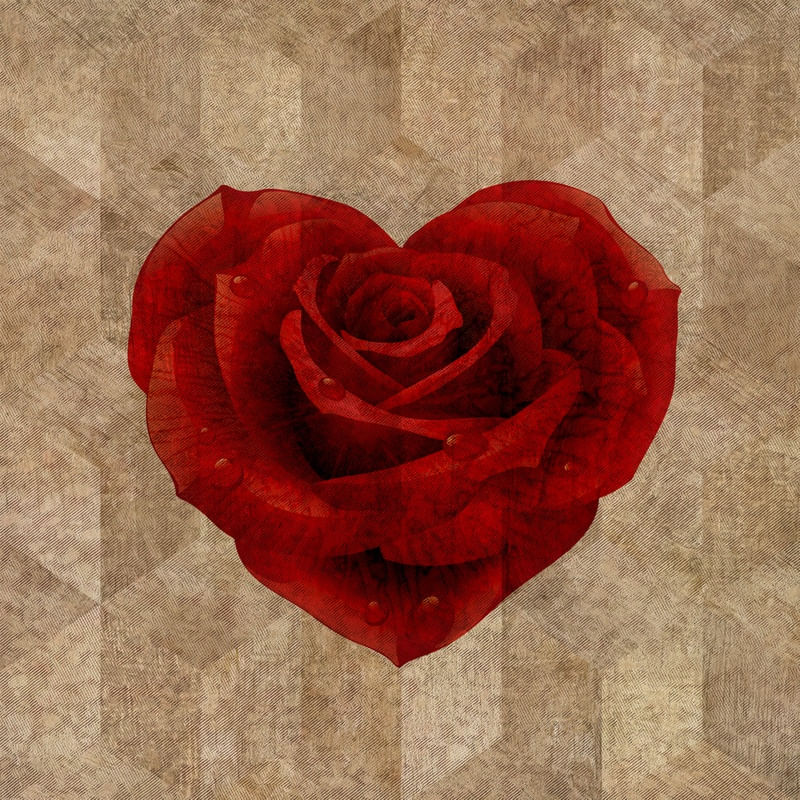 LOVE FLOWER