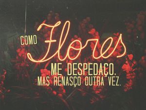COMO FLORES...