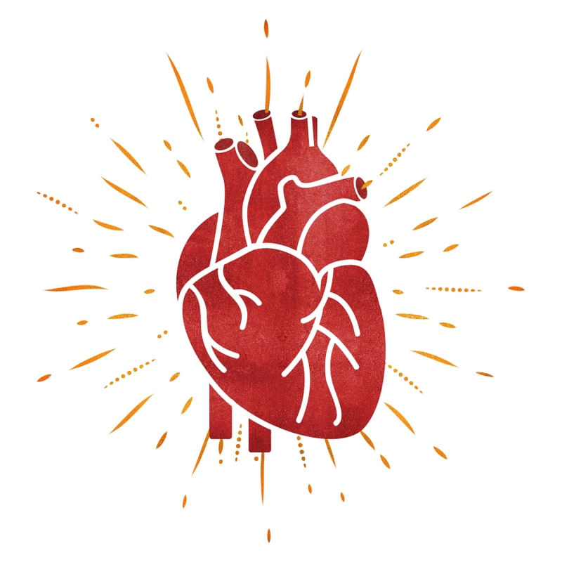 BRIGHT HEART