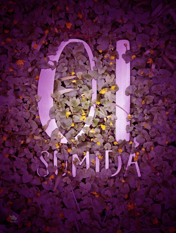 OI SUMIDA