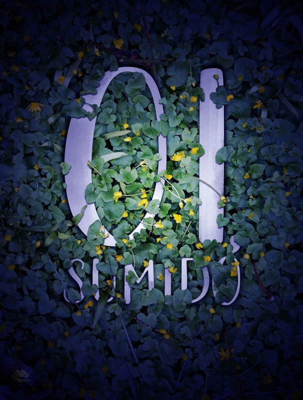 OI SUMIDO