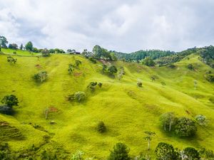 VERDE MONTANHA
