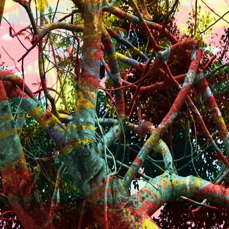 NATUREZA PRIMAVERA 01 ARTISTA GLORIA RIMES