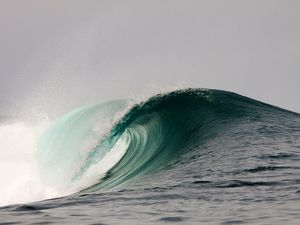BLUE BARREL