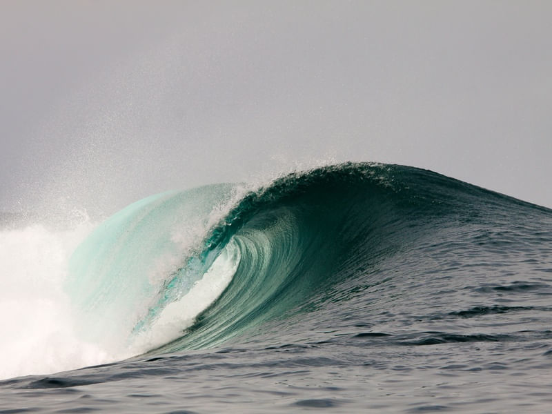 BLUE BARREL