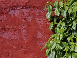 VERMELHO, ROSA E VERDE