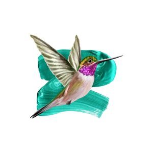 MODERN HUMMINGBIRD