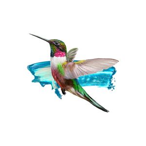 MODERN HUMMINGBIRD II
