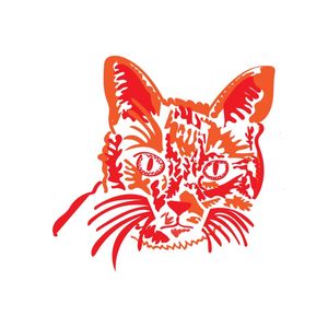 GATO MIMOSO