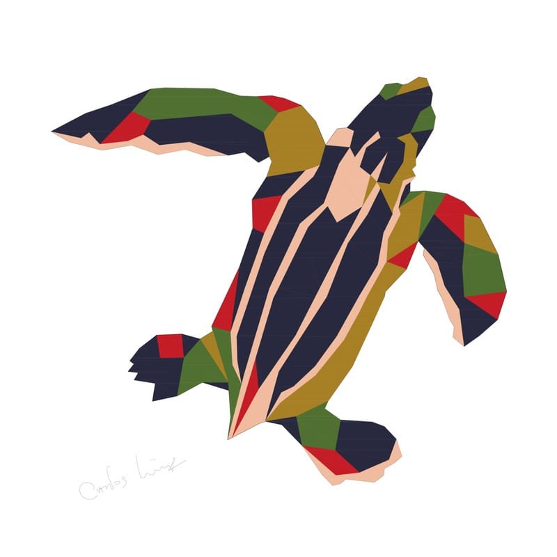 TARTARUGA DE COR