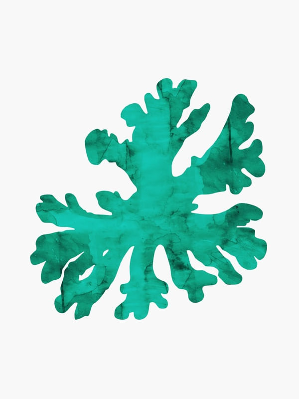CORAL VERDE
