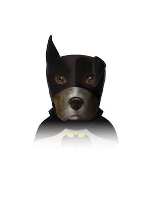 BATDOG