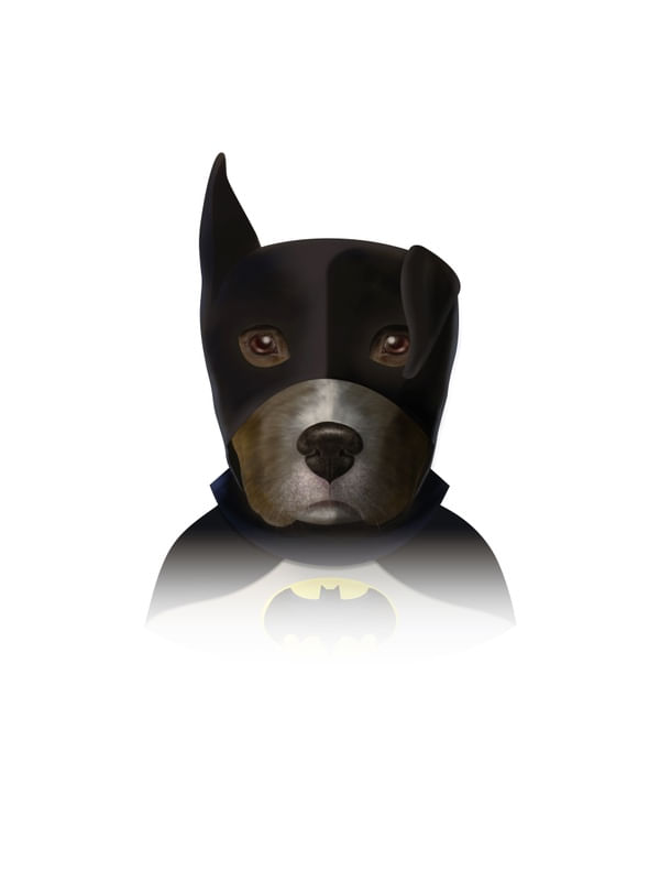 BATDOG