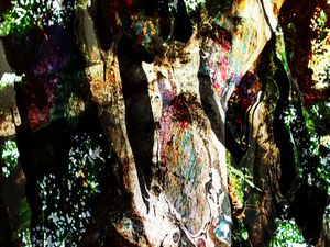 NATUREZA É VIDA 01 ARTISTA GLORIA RIMES