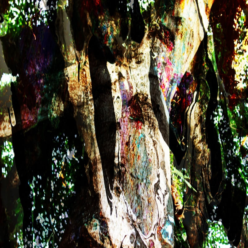 NATUREZA É VIDA 02 ARTISTA GLORIA RIMES