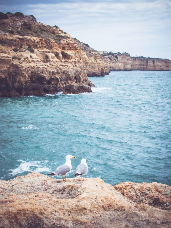 O ALGARVE