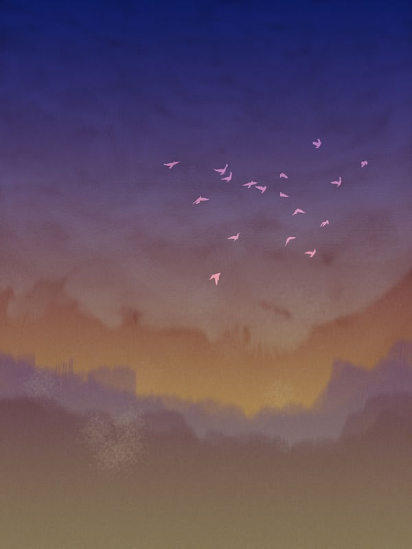 CÉU NO CRESPÚSCULO COM PÁSSAROS