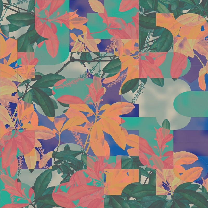 POP VINTAGE FLORESTA