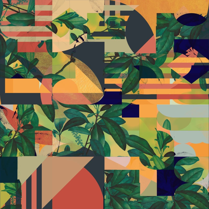 PLANTAS TROPICAIS DO FUTURO