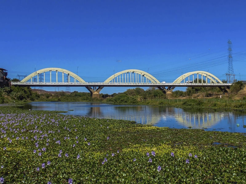 PONTE PIQUET CARNEIRO
