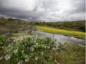 DIA DE CHUVA