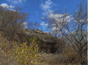 CAATINGA