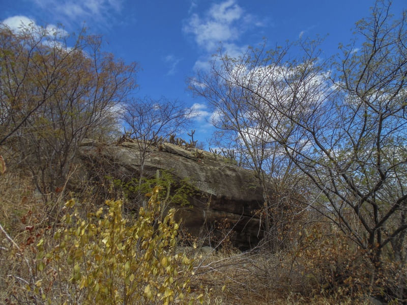 CAATINGA