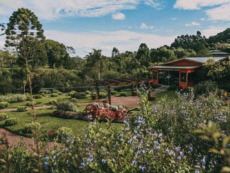PAISAGEM LINDA DE GRAMADO NA MINA DE OURO