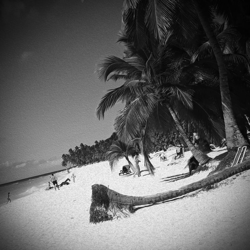 ISLA SAONA - REPÚBLICA DOMINICANA QD EX1