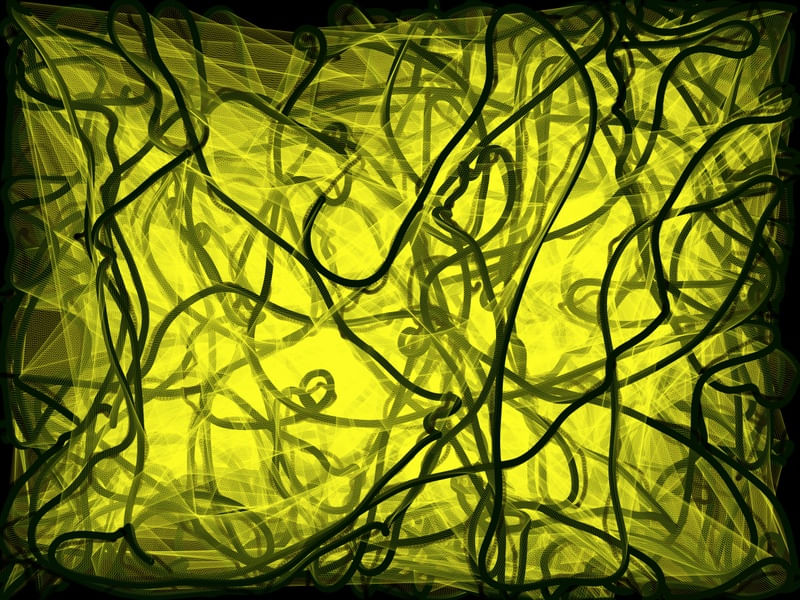 FOREST2