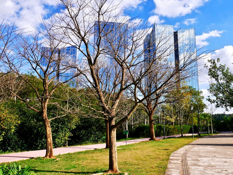 PARQUE DO POVO E TORRES SANTANDER