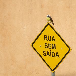 YELLOW BIRD