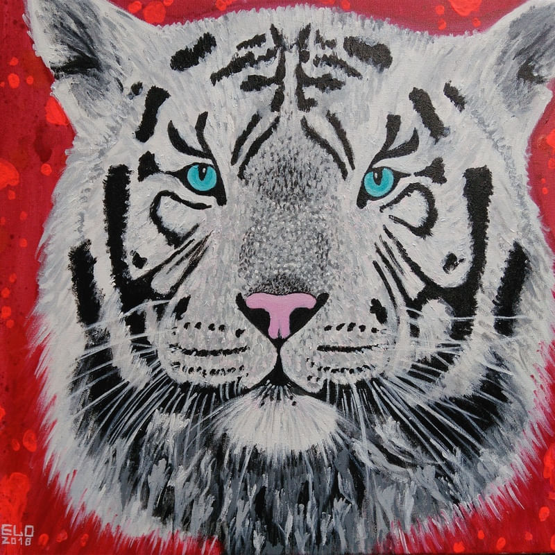 TIGRE BRANCO