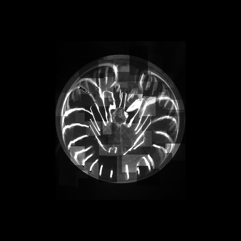 BLACK AND LIGHT
