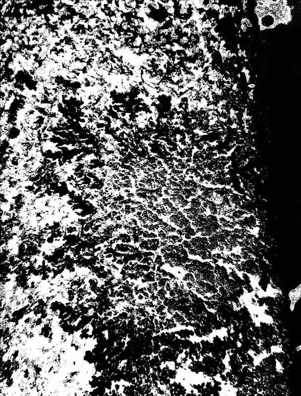 LIQUEN 3