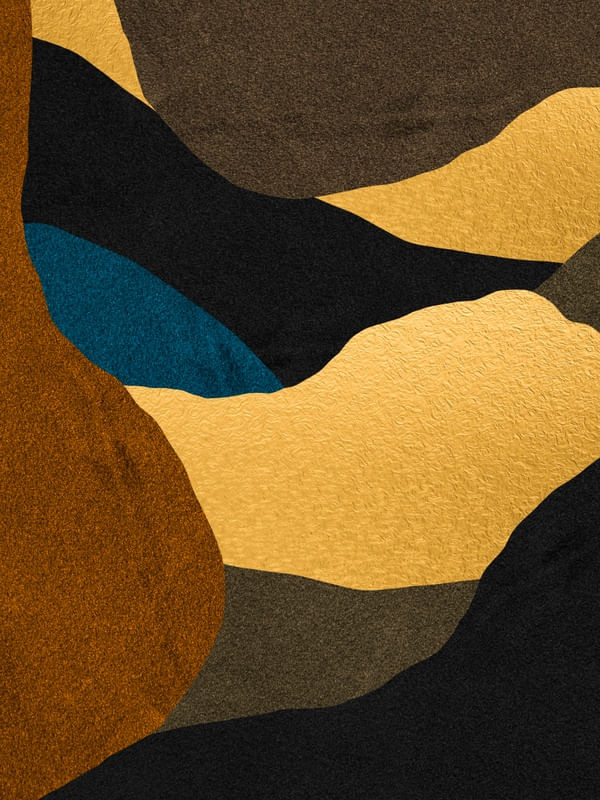 VENUS 3