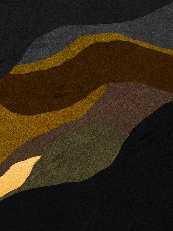 VENUS 6