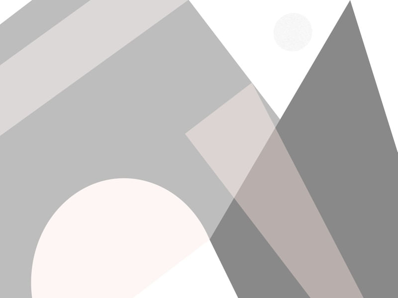 ABSTRACT ROSE AND SILVER 02