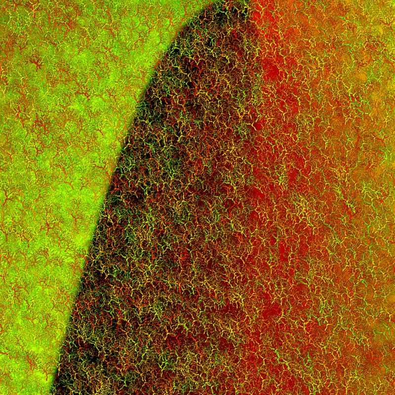 ABS-TRATO 01