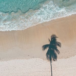 PRAIA E SOMBRA DE ARVORE