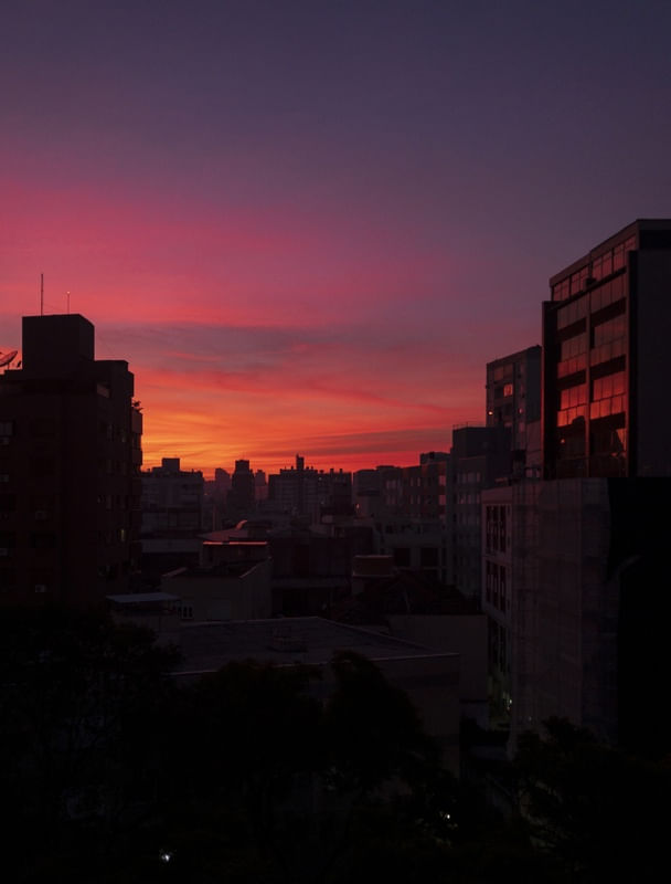 ABOUT LAST SUNRISE - PORTRAIT VERSION