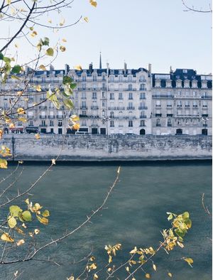 LA RIVE SEINE