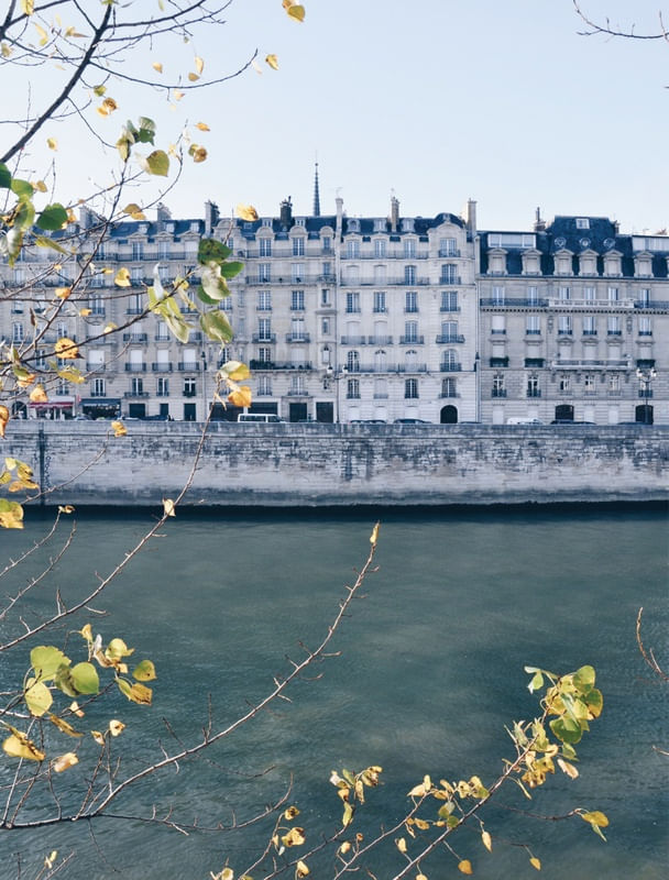 LA RIVE SEINE