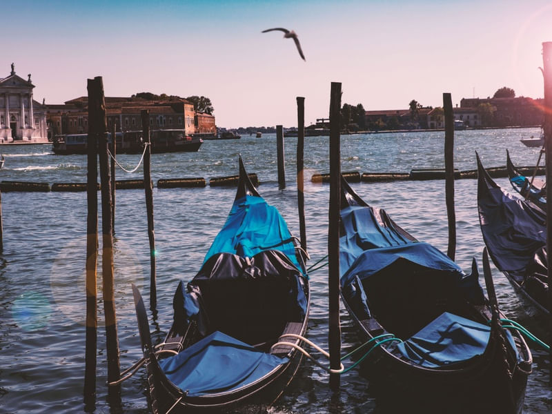 LA BELLA VENICE