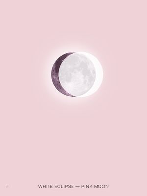 WHITE ECLIPSE PINK MOON