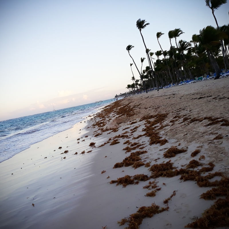 PRAIA DE PUNTA CANA - REPÚBLICA DOMINICANA VS1 QD EX1