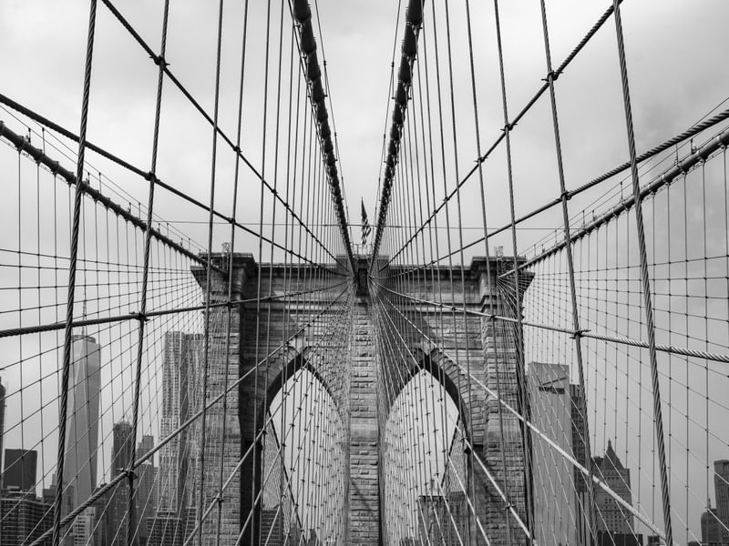 BROOKLYN BRIDGE NET