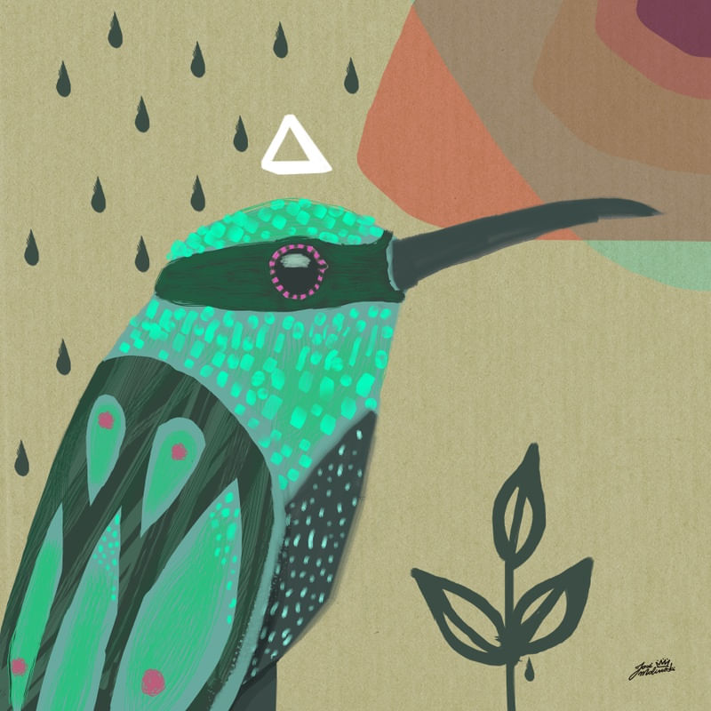 COLIBRI ABSTRACT